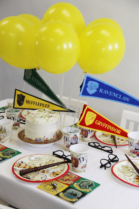 Harry Potter Tabletop Kit